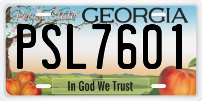 GA license plate PSL7601