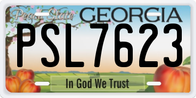 GA license plate PSL7623
