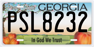 GA license plate PSL8232