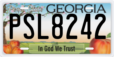 GA license plate PSL8242