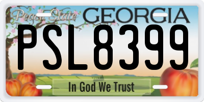 GA license plate PSL8399