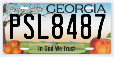 GA license plate PSL8487