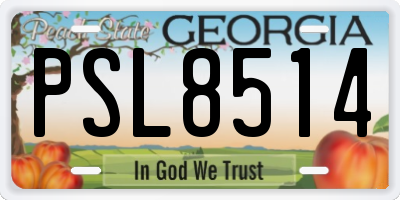 GA license plate PSL8514