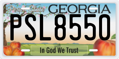 GA license plate PSL8550