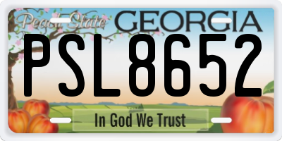 GA license plate PSL8652