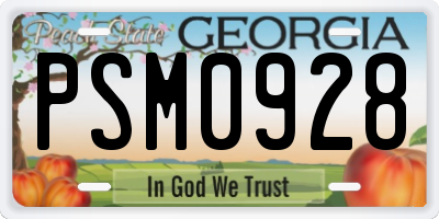 GA license plate PSM0928