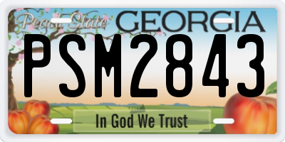GA license plate PSM2843