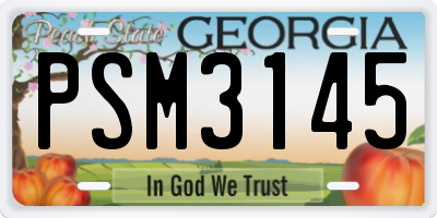 GA license plate PSM3145