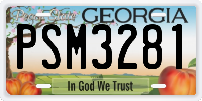 GA license plate PSM3281