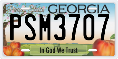 GA license plate PSM3707