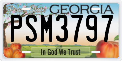 GA license plate PSM3797