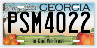 GA license plate PSM4022