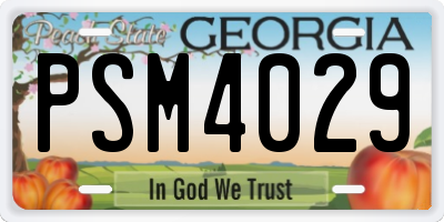 GA license plate PSM4029