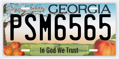 GA license plate PSM6565
