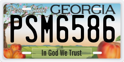 GA license plate PSM6586
