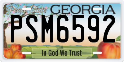 GA license plate PSM6592