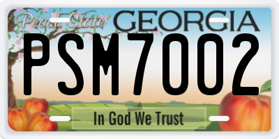 GA license plate PSM7002