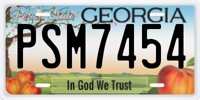 GA license plate PSM7454