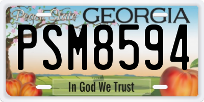 GA license plate PSM8594