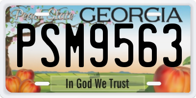 GA license plate PSM9563