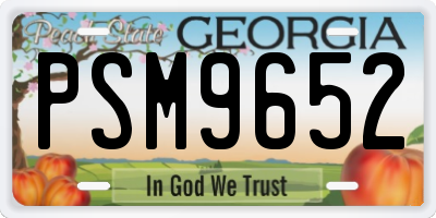 GA license plate PSM9652