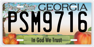 GA license plate PSM9716
