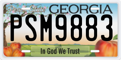 GA license plate PSM9883