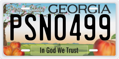 GA license plate PSN0499