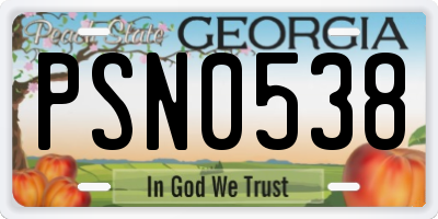 GA license plate PSN0538