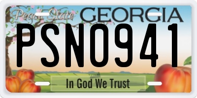GA license plate PSN0941