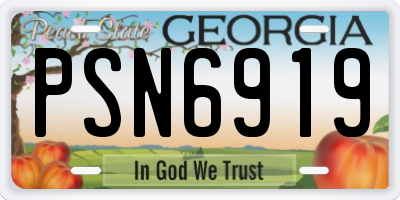 GA license plate PSN6919