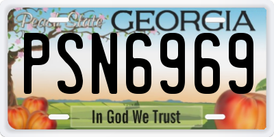 GA license plate PSN6969