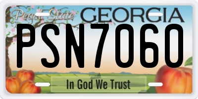 GA license plate PSN7060