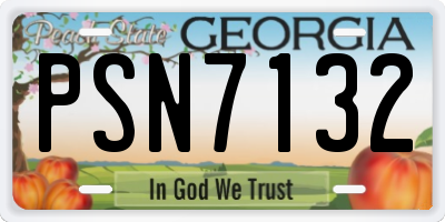 GA license plate PSN7132