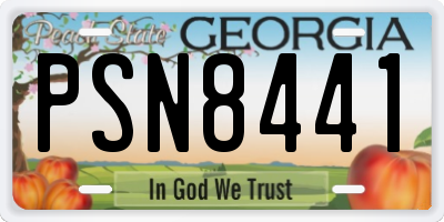 GA license plate PSN8441
