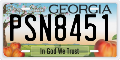 GA license plate PSN8451