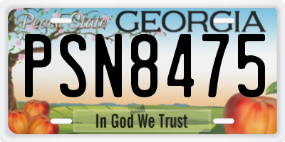 GA license plate PSN8475