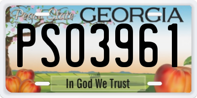 GA license plate PSO3961