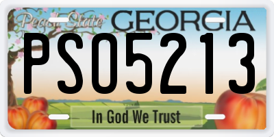 GA license plate PSO5213