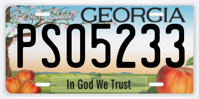 GA license plate PSO5233