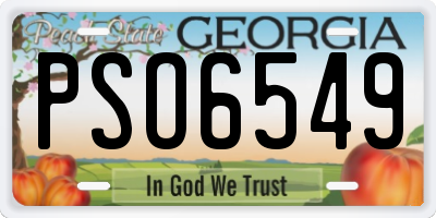 GA license plate PSO6549