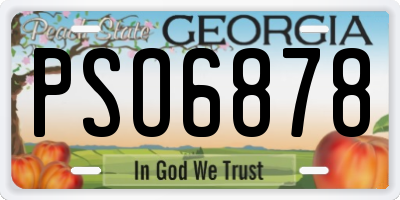 GA license plate PSO6878