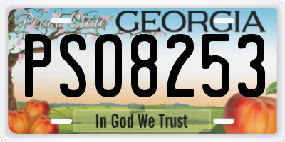 GA license plate PSO8253