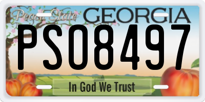 GA license plate PSO8497