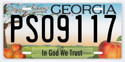 GA license plate PSO9117
