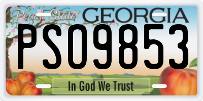 GA license plate PSO9853
