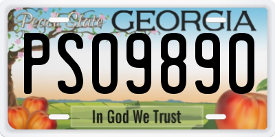 GA license plate PSO9890