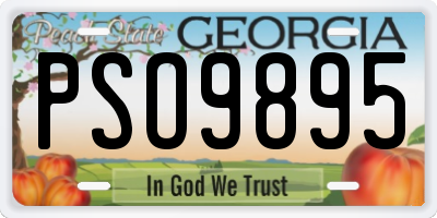 GA license plate PSO9895