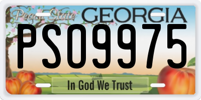 GA license plate PSO9975