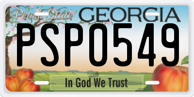 GA license plate PSP0549